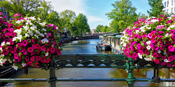 НИДЕРЛАНДЫ: весна в Амстердаме