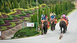 На курортах Таиланда для туристов открываются новые тематические парки