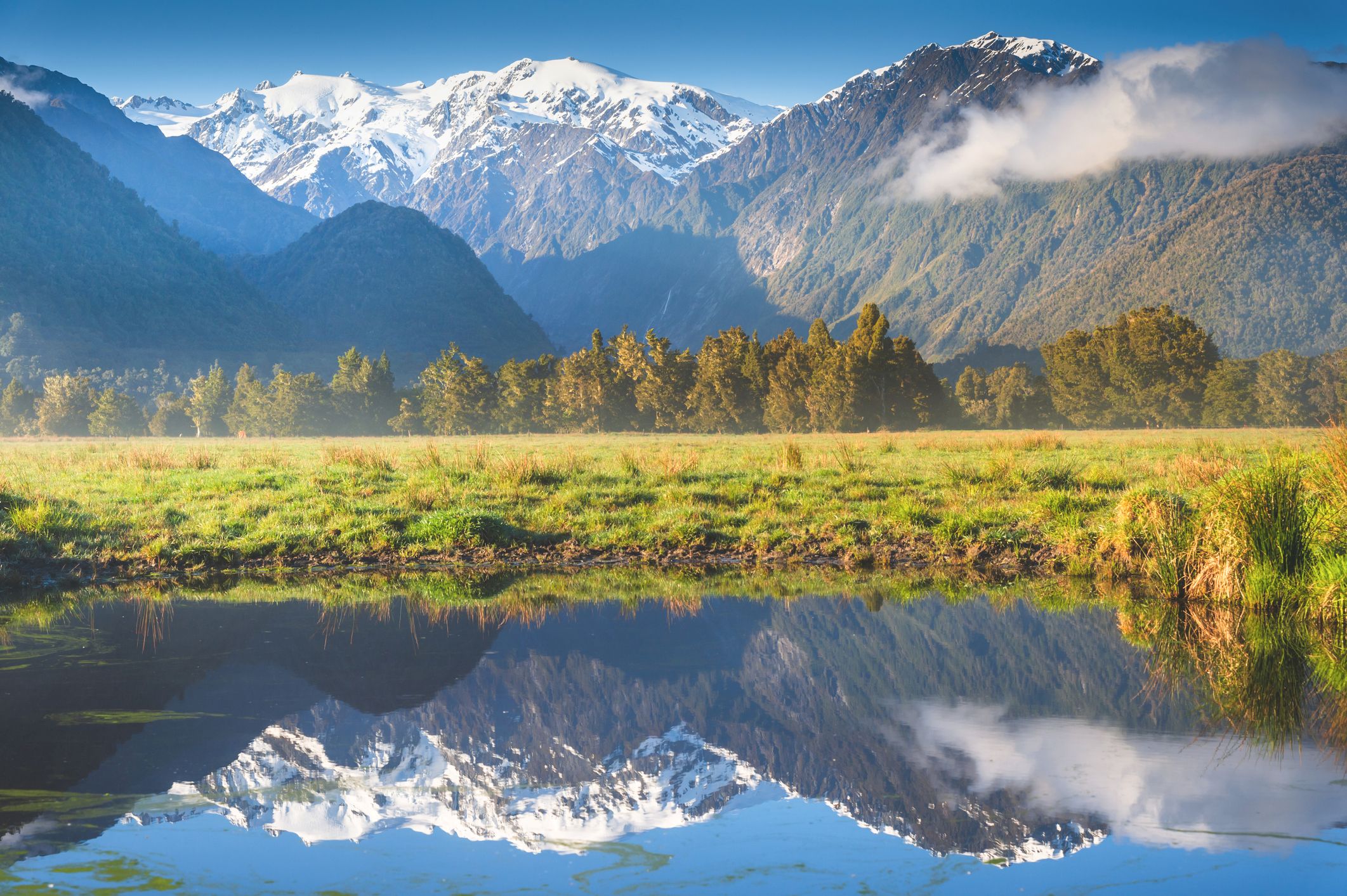 Приглашение в мир природных чудес Новой Зеландии