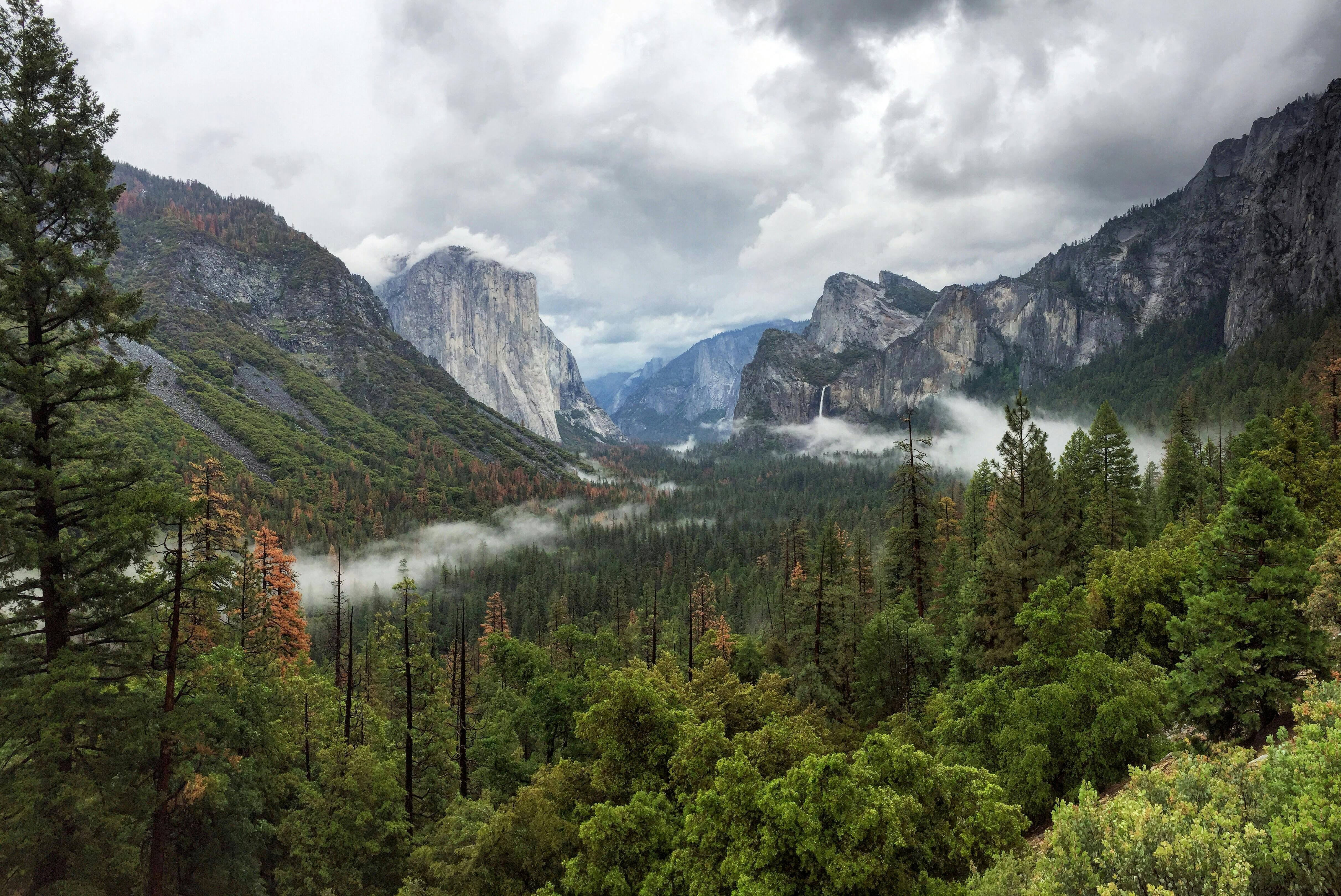 gallery-img
