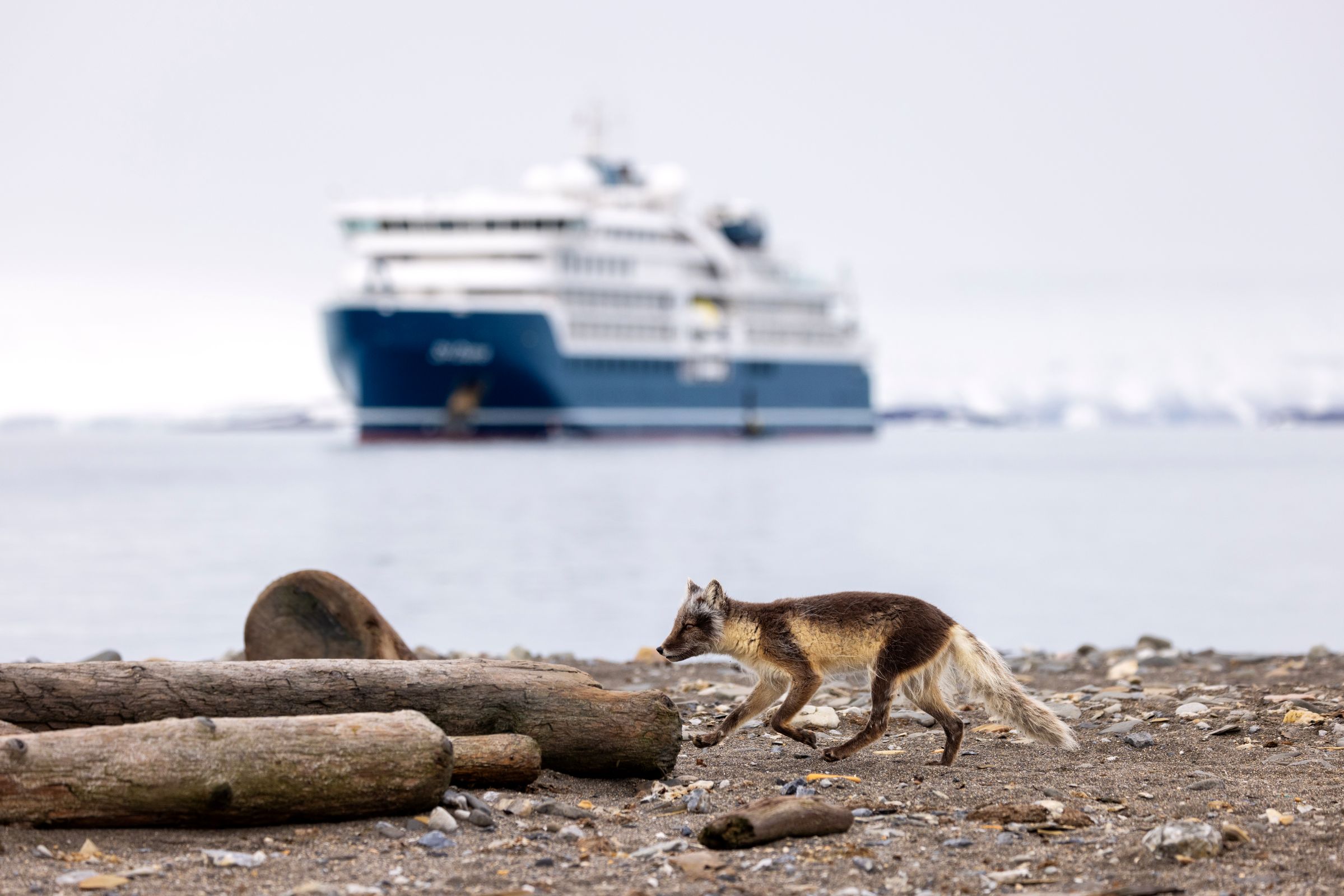 Экспедиционный круиз в Антарктику по морю Уэдделла