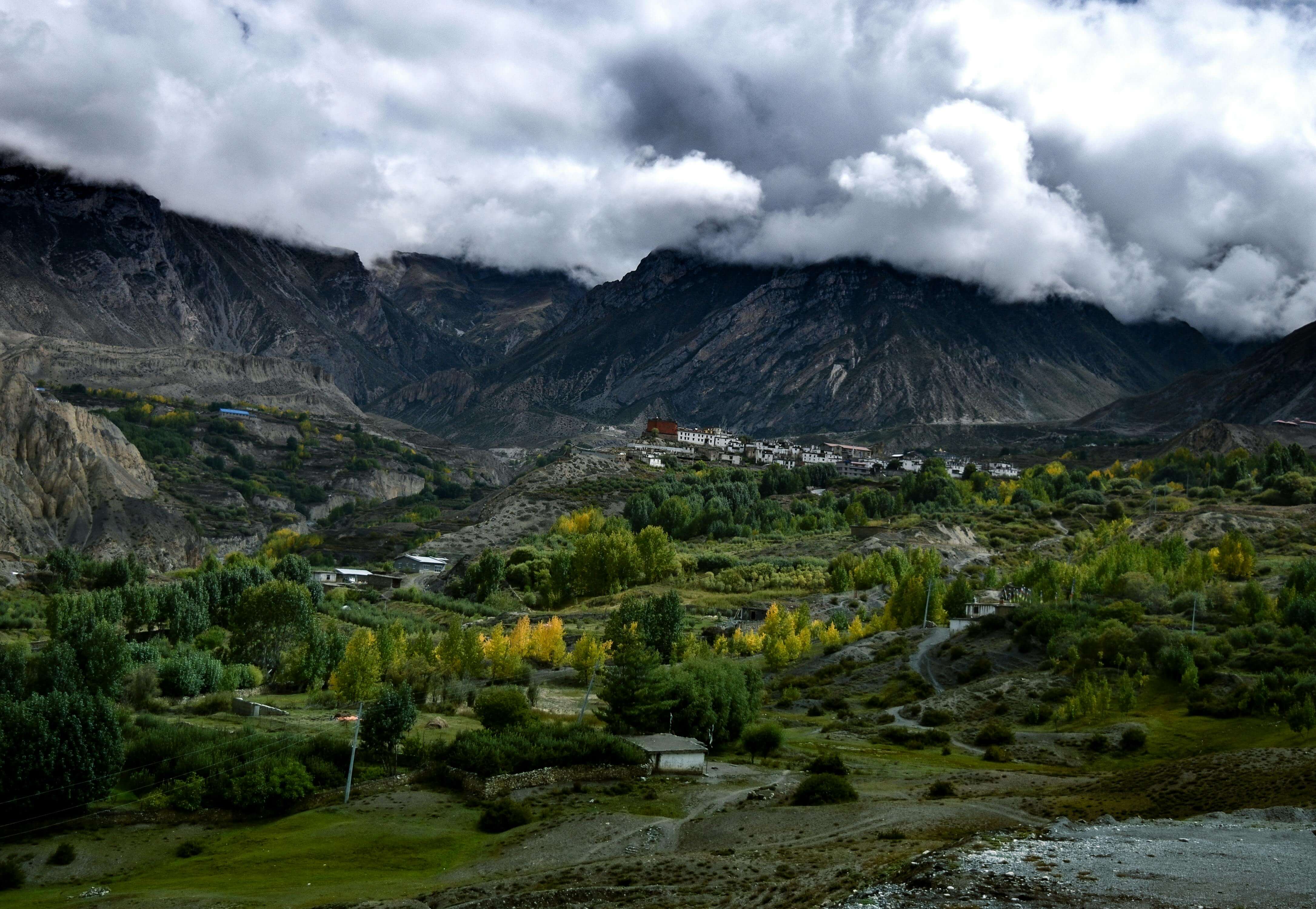 gallery-img