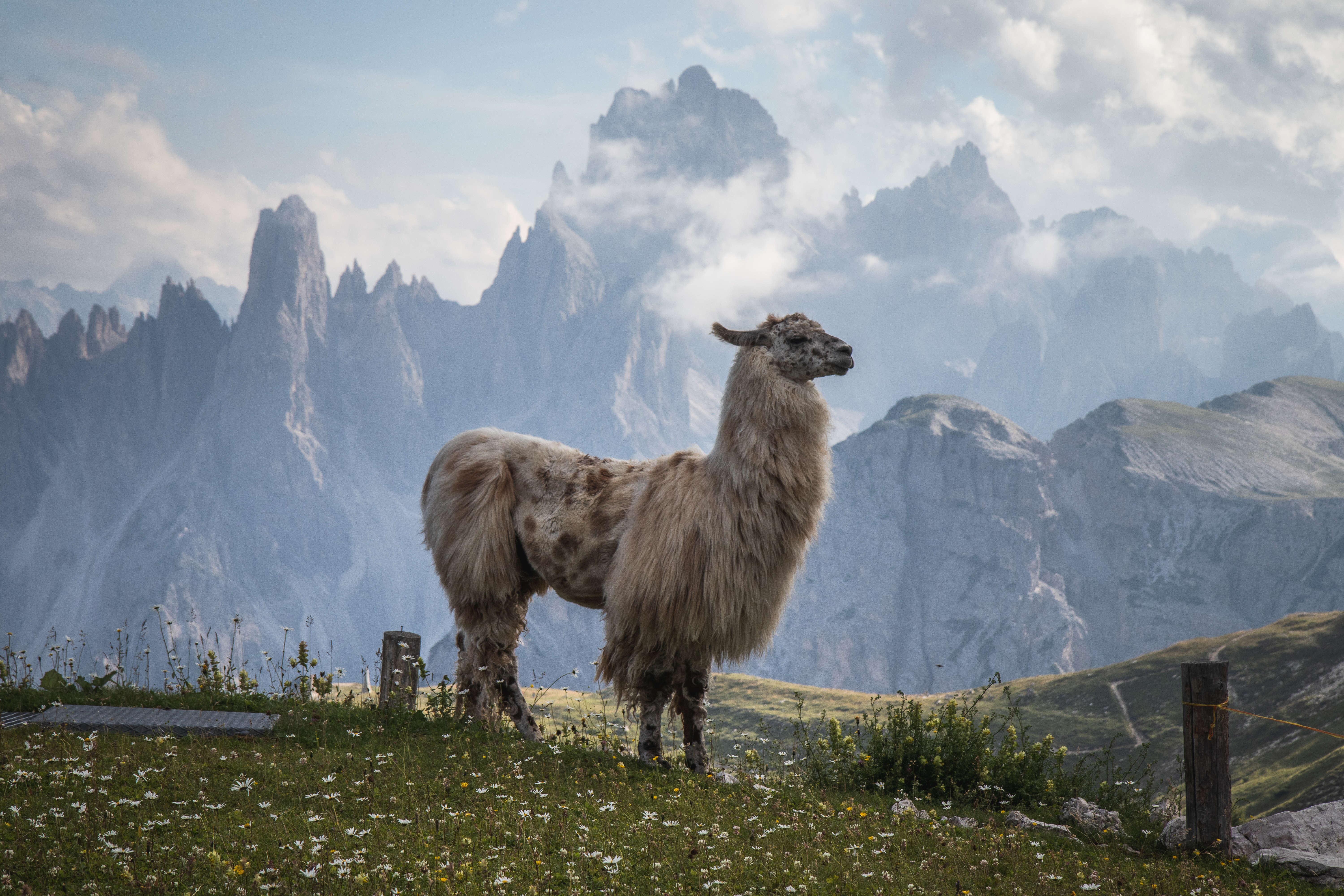 Куда поехать на майские без визы?