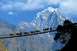 Власти Непала запретят туристам походы по горам без гидов